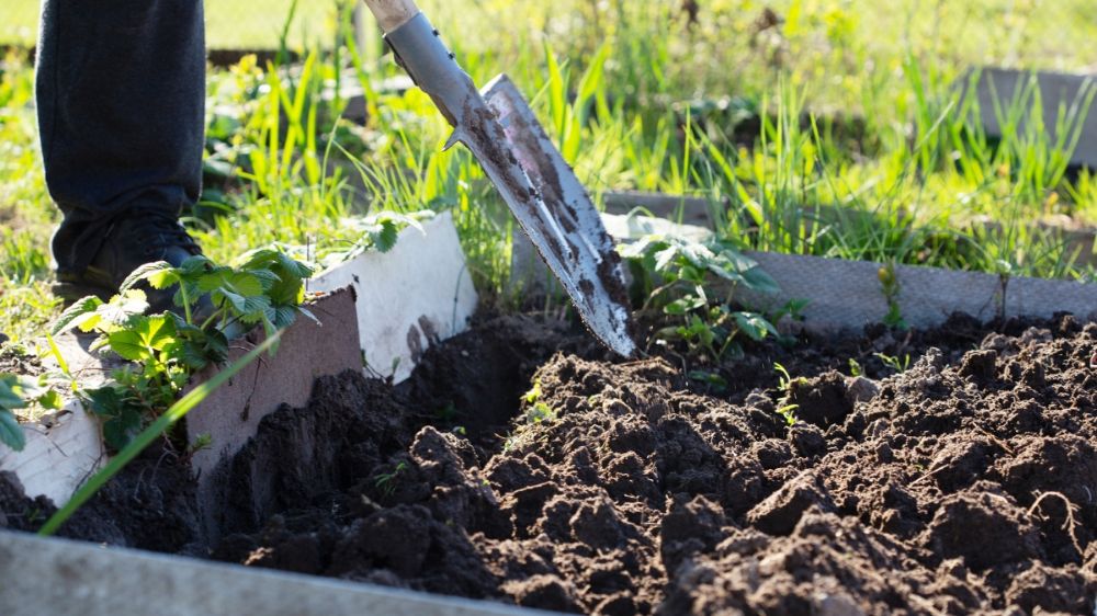Dig New Flower Beds and Vegetable Plots Guide